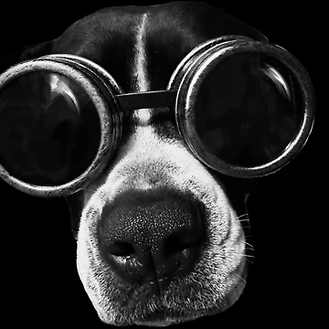 Artwork thumbnail, Goggle Dog by Ruth Day