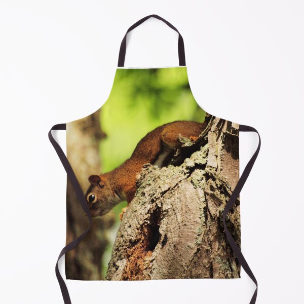 Item preview, Downward-Facing Squirrel Clings to Peeling Bark on Tree designed and sold by CountyKent.