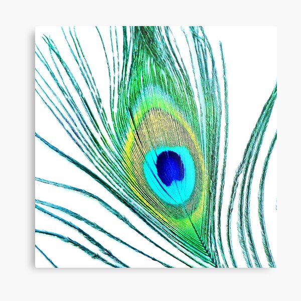 Item preview, Peacock Feather (No 2), Peacock Tail Feather Art Print designed and sold by CLManey.