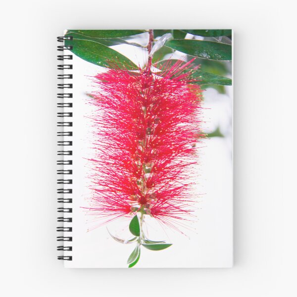 Item preview, Tropical Red Bottlebrush Flower designed and sold by daphsam.