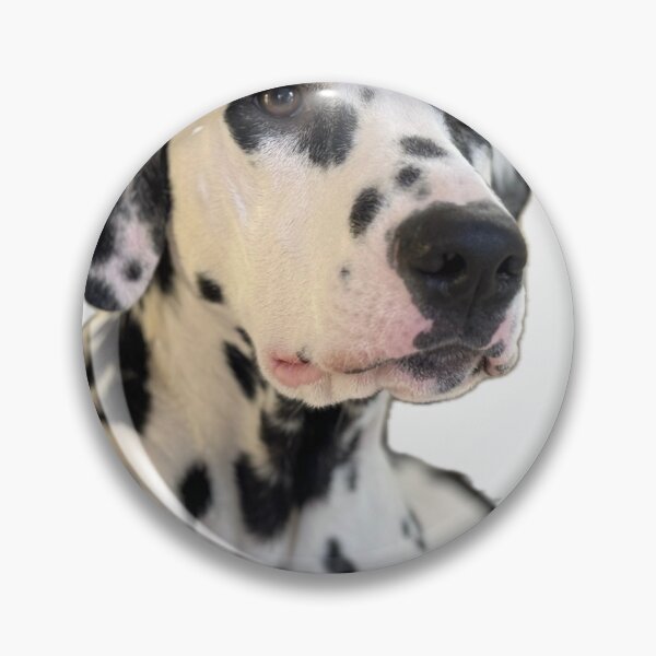 Item preview, Distinguished designed and sold by Ruth Day.