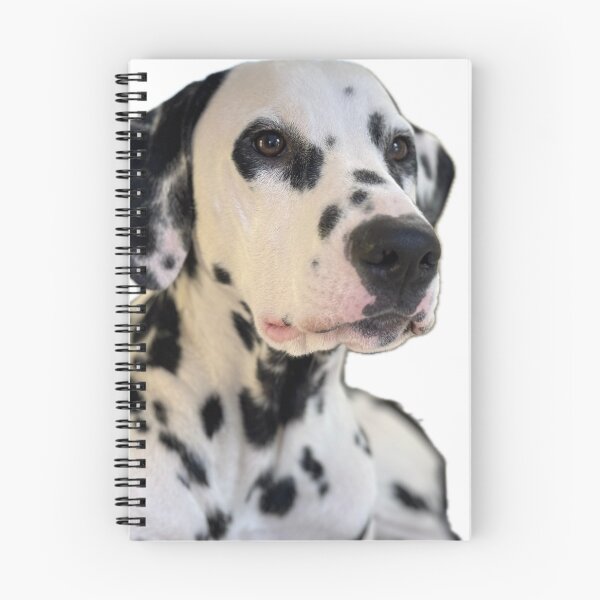 Item preview, Distinguished designed and sold by Ruth Day.