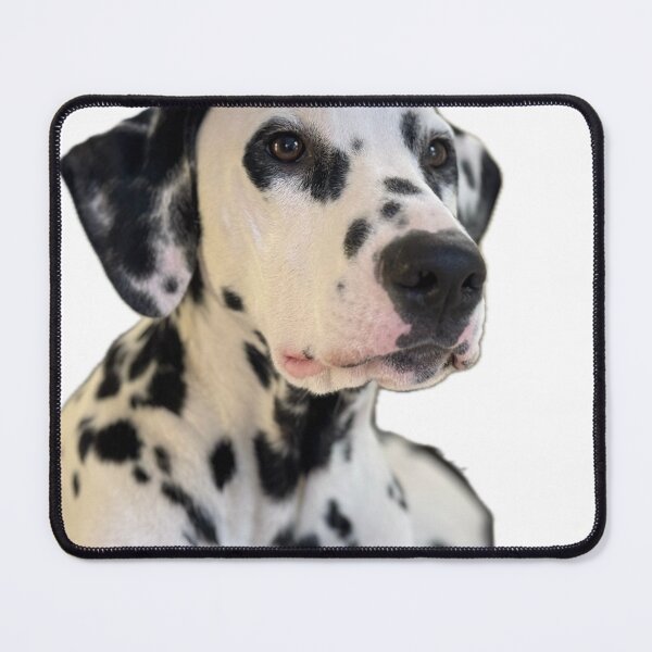 Item preview, Distinguished designed and sold by Ruth Day.