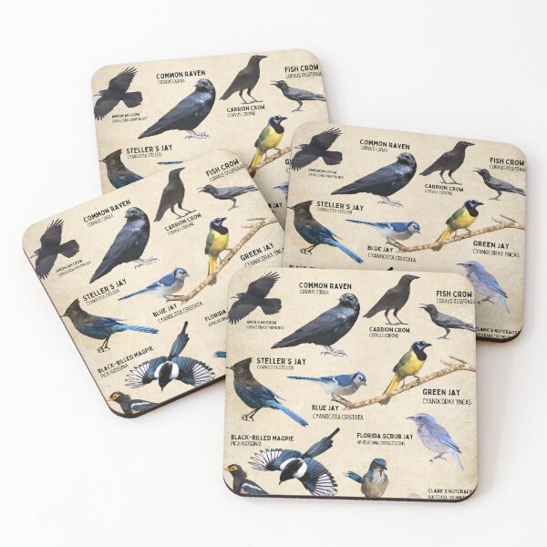 Item preview, Corvidae Bird Family Science Poster designed and sold by wesleykshaver.