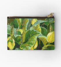 Skunk cabbage in blossom. Soft pastel painting. Studio Pouch