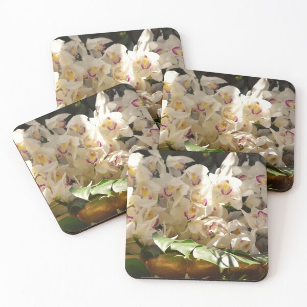 Item preview, White Orchids at Bellagio designed and sold by MangoSeeds.