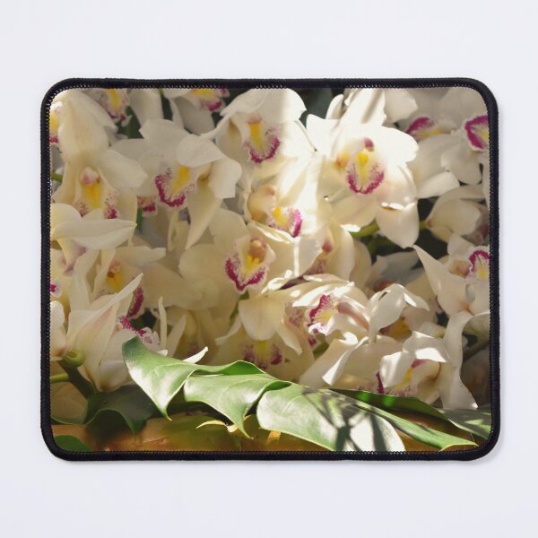 Item preview, White Orchids at Bellagio designed and sold by MangoSeeds.