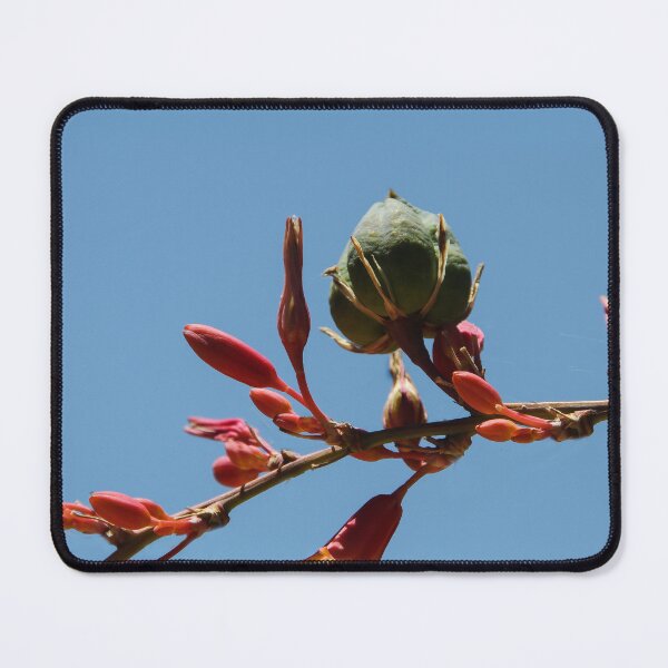 Item preview, Nature's Wonder designed and sold by heatherfriedman.