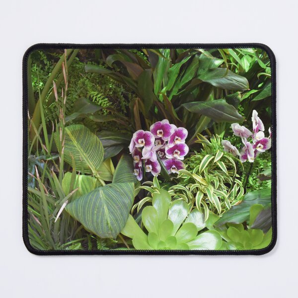 Item preview, White and Purple Orchids at Bellagio designed and sold by MangoSeeds.