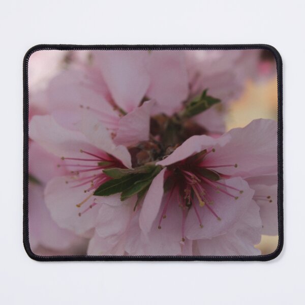 Item preview, Cherry Blossom designed and sold by SunsetFirefly.