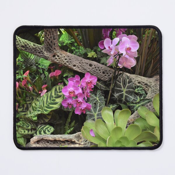 Item preview, Purple Orchids at Bellagio designed and sold by MangoSeeds.