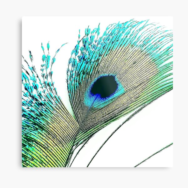 Item preview, Peacock Feather (No 3),  Peacock Tail Feather designed and sold by CLManey.