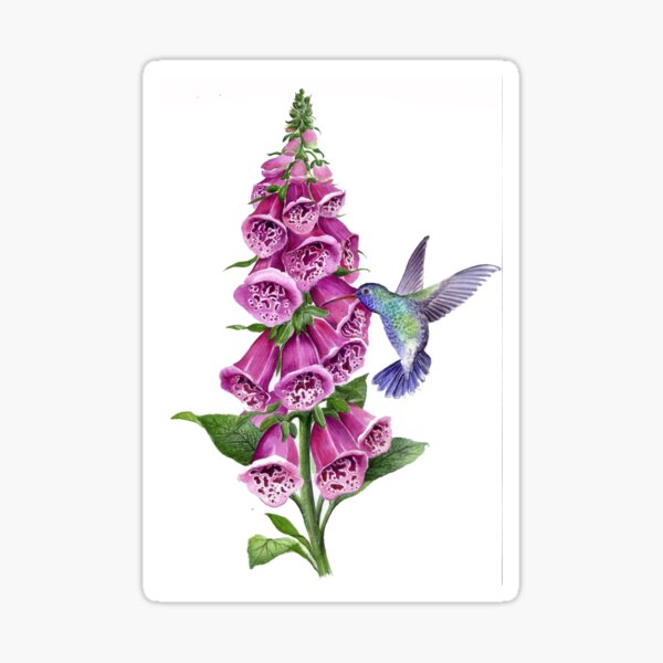 Aperçu de l'œuvre digitale et colibri créée et vendue par Gabriella  Szabo.