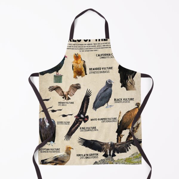 Item preview, Vultures of the World Birder Ornithology Scientific Diagram Poster designed and sold by wesleykshaver.