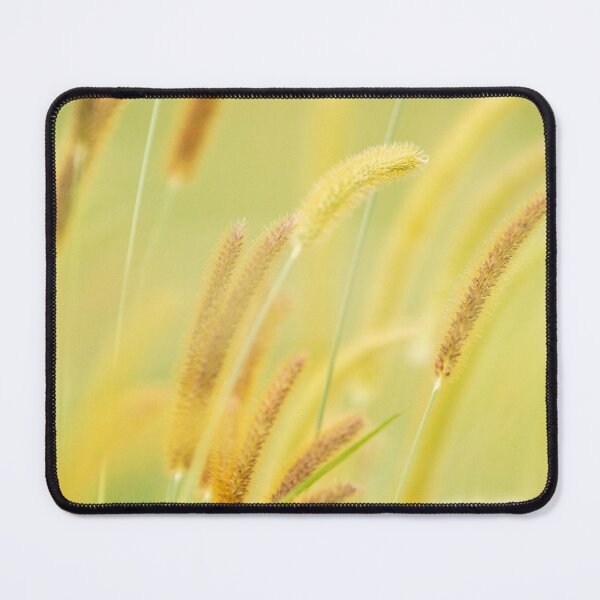 Item preview, African Bristle Grass designed and sold by robdanimalphotography.