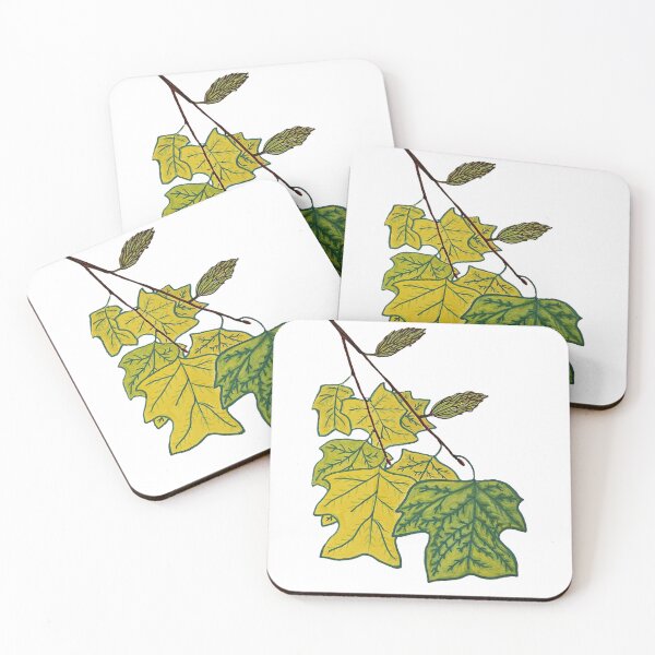 Item preview, The Magnificent Tulip-Tree (Liriodendron tulipifera) designed and sold by TheNatureNerd.