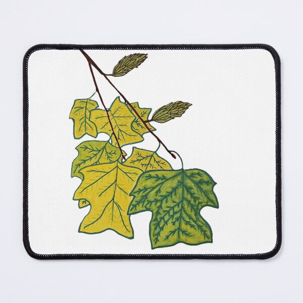 Item preview, The Magnificent Tulip-Tree (Liriodendron tulipifera) designed and sold by TheNatureNerd.