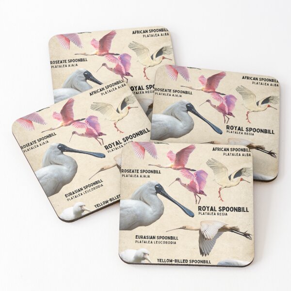 Item preview, Spoonbills of the world ornithology Birder zookeeper diagram poster designed and sold by wesleykshaver.