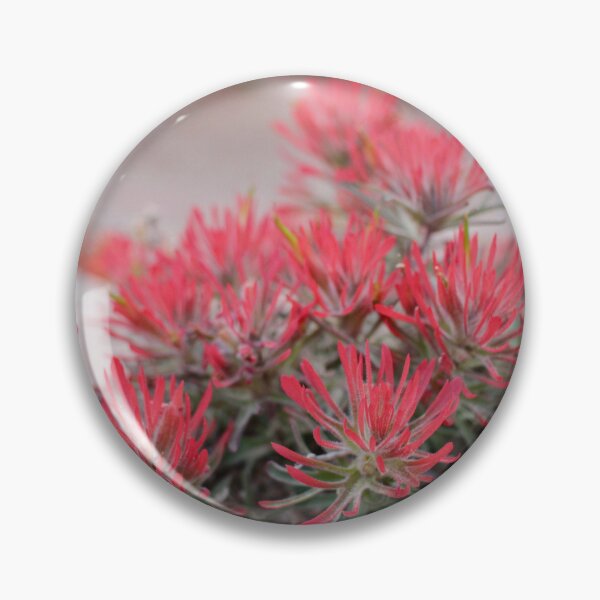 Item preview, Rough Indian Paintbrush designed and sold by Betsy Phillips.