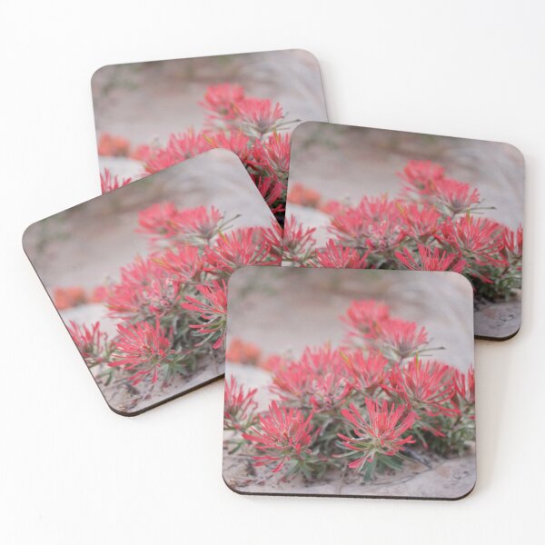 Item preview, Rough Indian Paintbrush designed and sold by Betsy Phillips.