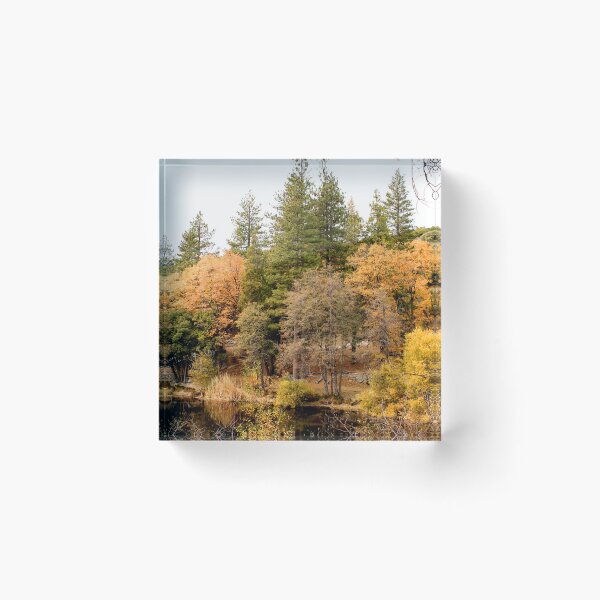 Item preview, Idyllwild - Pine Cove designed and sold by supernova23.