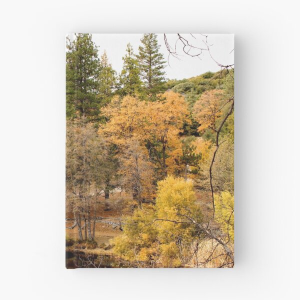 Item preview, Idyllwild - Pine Cove designed and sold by supernova23.