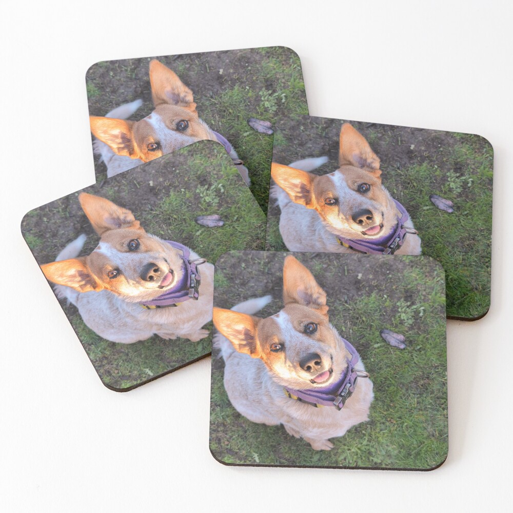 Item preview, Coasters (Set of 4) designed and sold by RAD5.