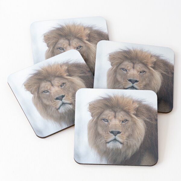 Item preview, The Fierce Gaze of a Male Lion in Focus designed and sold by rawshutterbug.