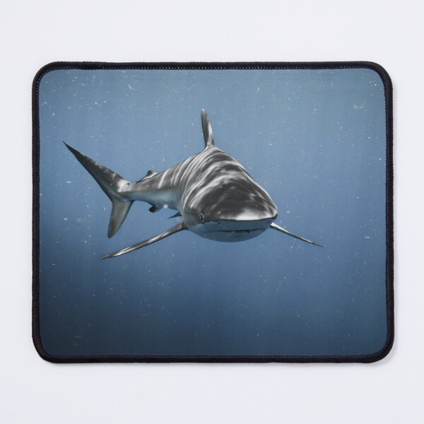 Item preview, Great White Shark, Deep Blue Sea designed and sold by newburyboutique.