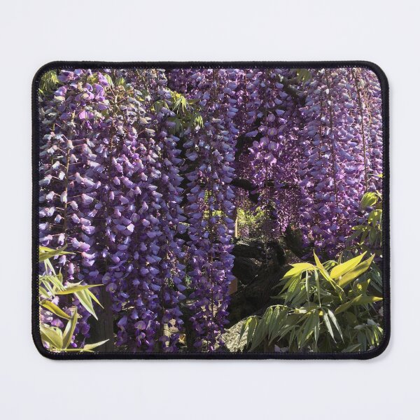Item preview, Cortina de glicinas designed and sold by Rustburn.