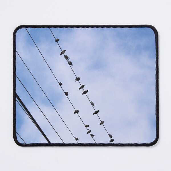 Item preview, Birds On The Telephone Wire designed and sold by Over & Out Designs .