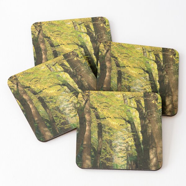 Item preview, Ginkgo biloba trees designed and sold by Gaspar Avila.