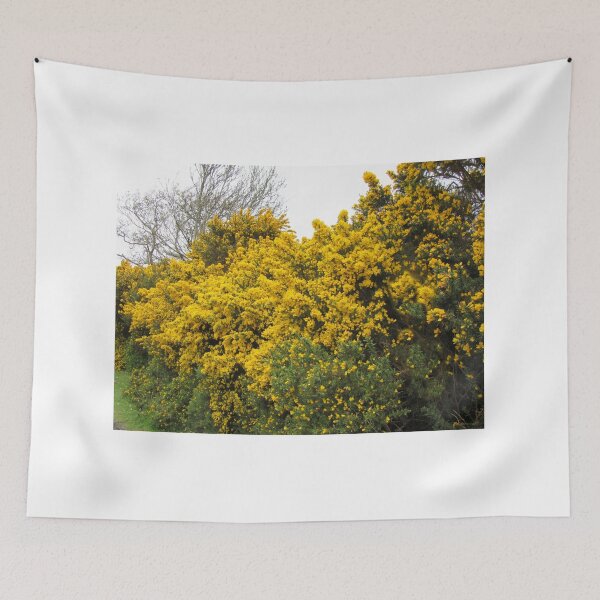 Item preview, Gorse Spectacular  (Ulex) designed and sold by lezvee.