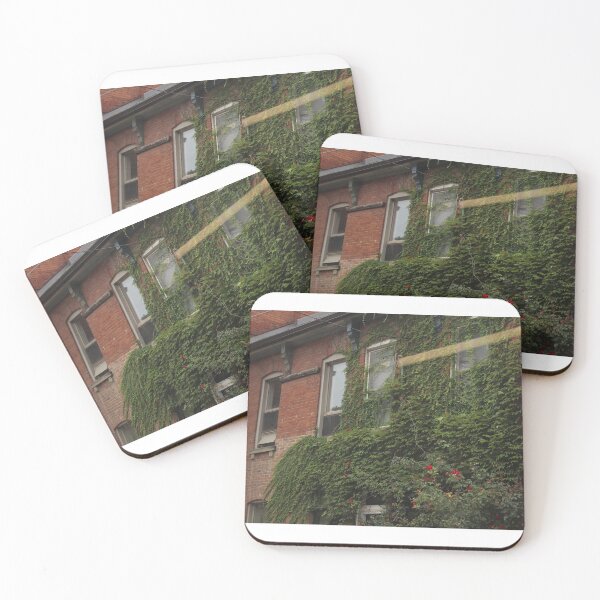 Item preview, Vines On The Side Of A Brick Wall designed and sold by Over & Out Designs .