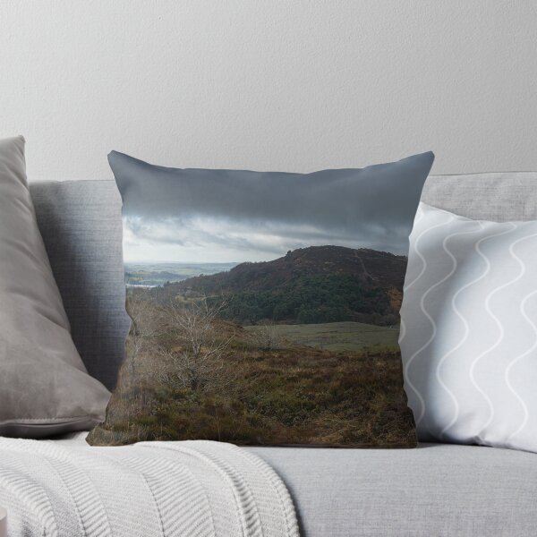 Item preview, Dramatic and atmospheric bleak British winter landscape. designed and sold by RobThorley.