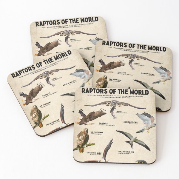Item preview, Raptors of the world scientific Diagram Poster birds of prey designed and sold by wesleykshaver.