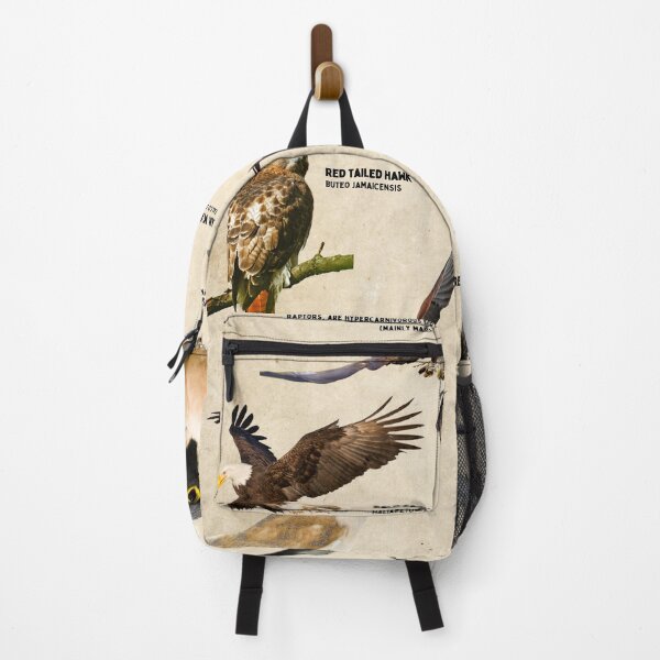 Item preview, Rapaces del mundo Diagrama científico Póster aves rapaces designed and sold by wesleykshaver.