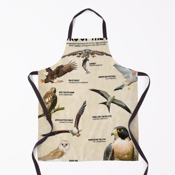 Item preview, Raptors of the world scientific Diagram Poster birds of prey designed and sold by wesleykshaver.