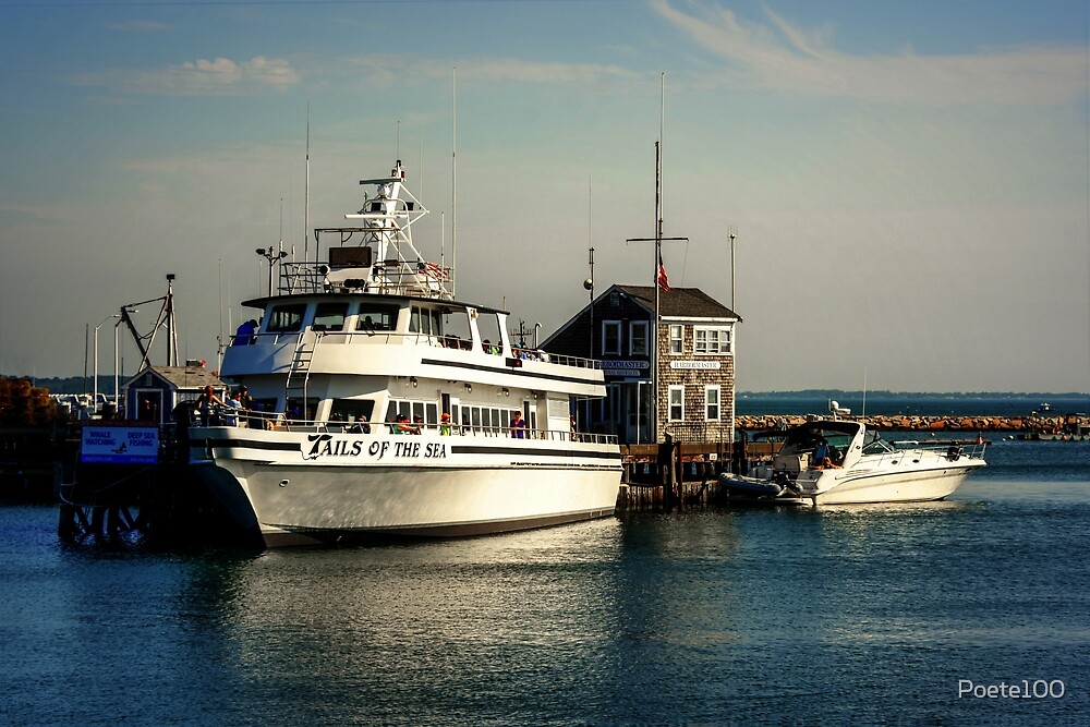"Tails of the Sea _ fast ferry to Provincetown!" by Poete100 Redbubble