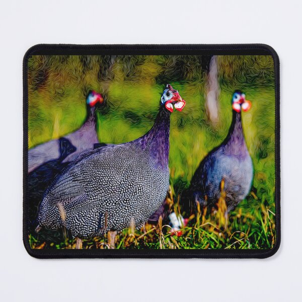 Item preview, African Chicken galinha-d'angola or pintada-da-guiné designed and sold by Helios Be. Lavsh.