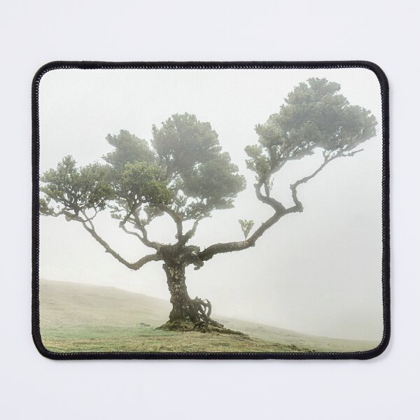Item preview, Fanal forest 07 designed and sold by Weston Westmoreland.