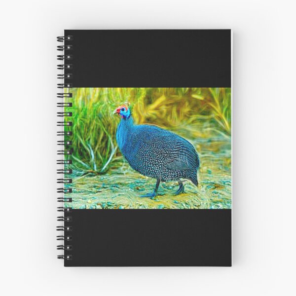 Item preview, African Chicken galinha-d'angola or pintada-da-guiné v2 designed and sold by Helios Be. Lavsh.