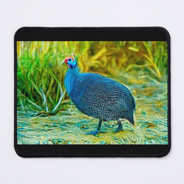 Item preview, African Chicken galinha-d'angola or pintada-da-guiné v2 designed and sold by Helios Be. Lavsh.