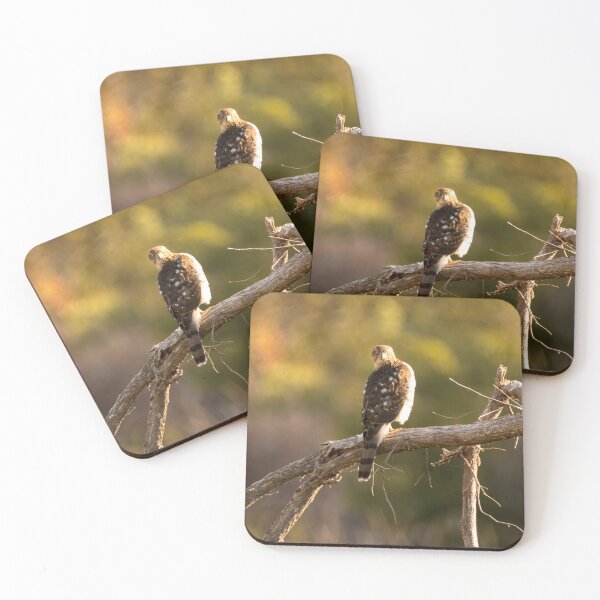 Item preview, It Saw Me Too designed and sold by Debra Martz.