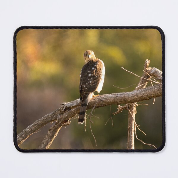 Item preview, It Saw Me Too designed and sold by Debra Martz.