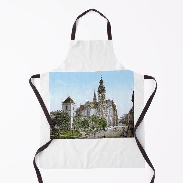 Item preview, Košice Cathedral designed and sold by 19th Century in Color.