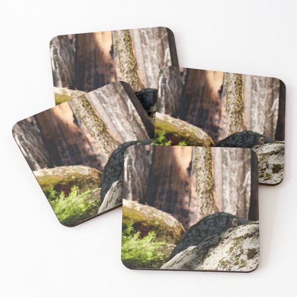 Item preview, Chipmunk in Sequoia designed and sold by C Rose.