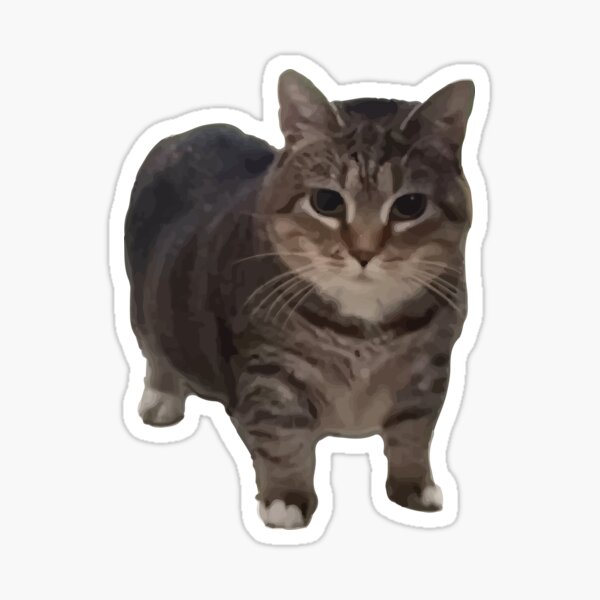 Item preview, Spinning cat (o i i a i o i i i a i) designed and sold by Brainmolding.