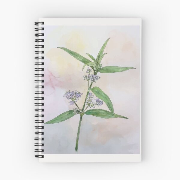Item preview, Vietnam Botanical Plant Illustration 3 designed and sold by tuyetstudio.