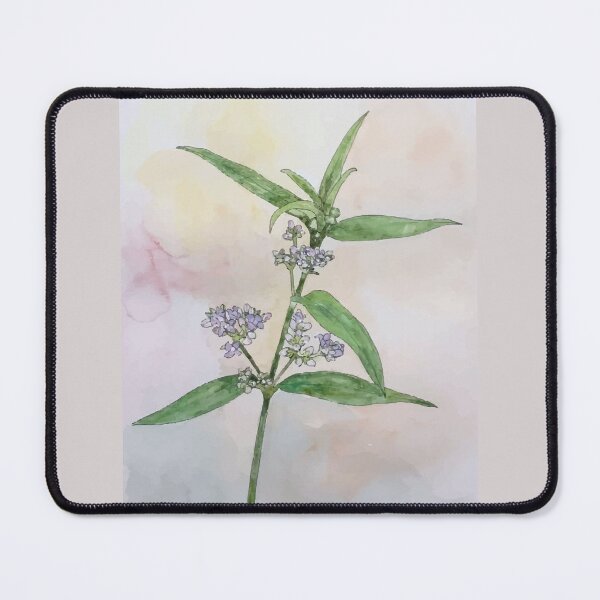 Item preview, Vietnam Botanical Plant Illustration 3 designed and sold by tuyetstudio.